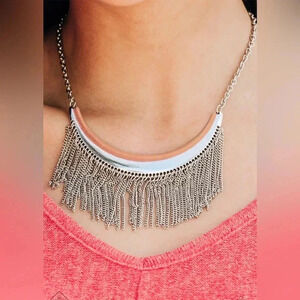 Paparazzi ♥ Zoo Zone ♥ Silver Necklace and Earrings